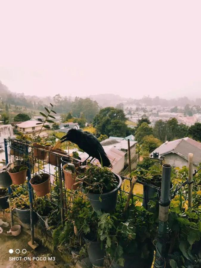 La Rose Guest House Nuwara Eliya Exteriér fotografie