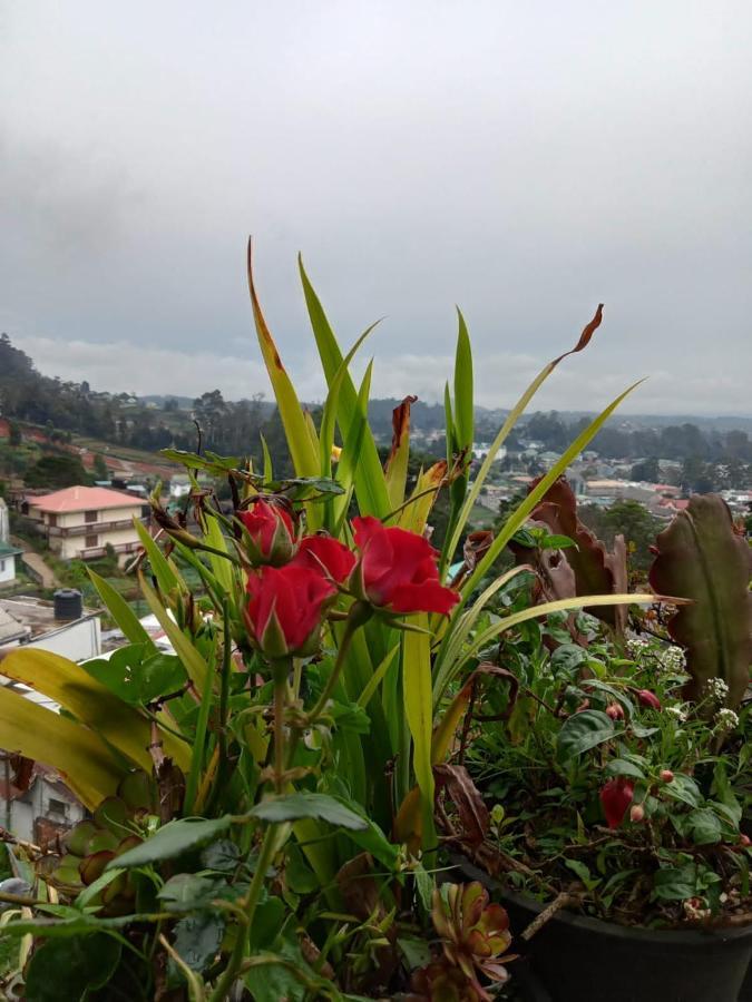 La Rose Guest House Nuwara Eliya Exteriér fotografie